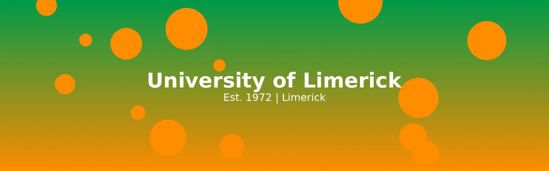 University of Limerick